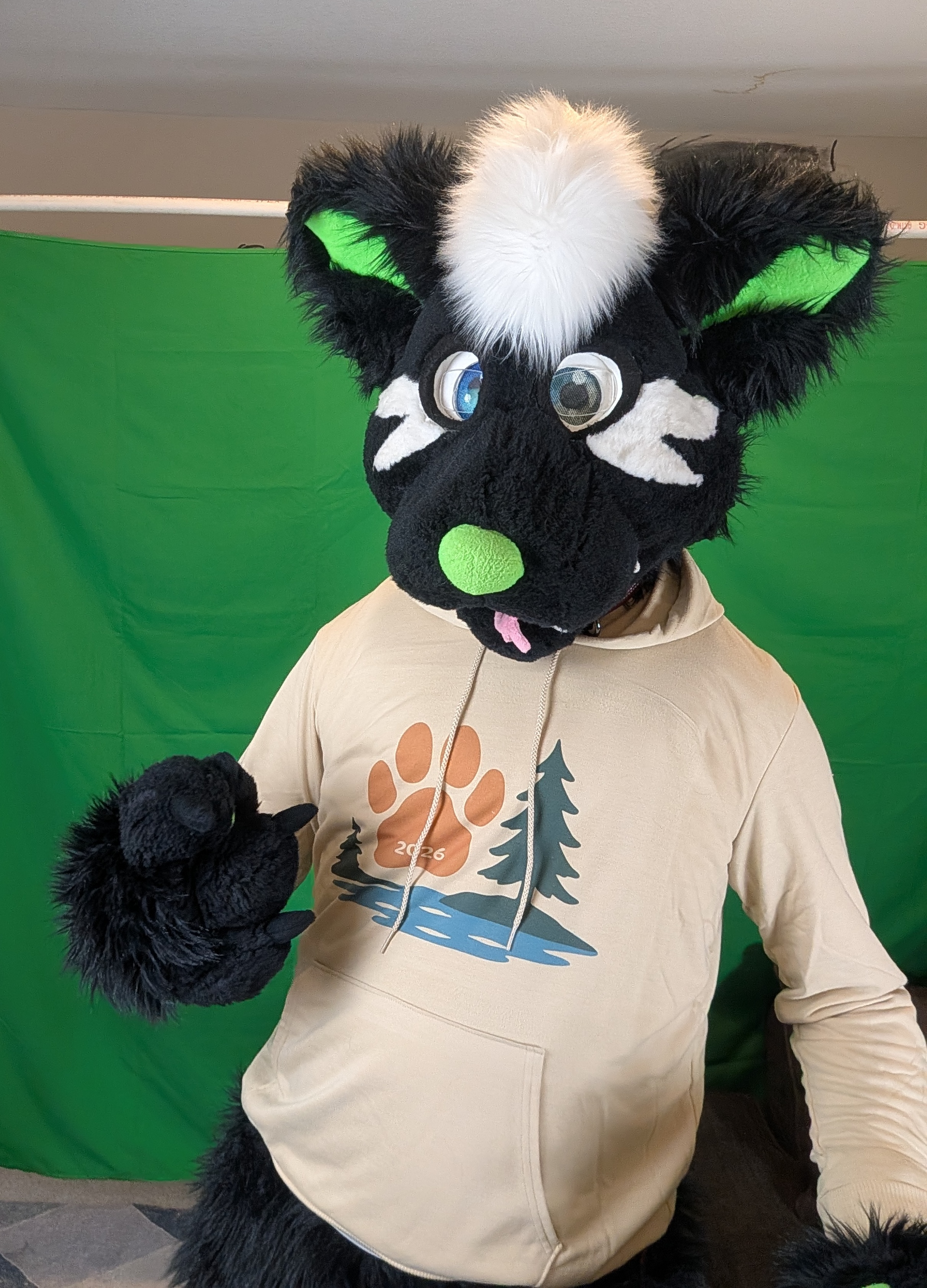 Camp Pawprint Hoodie